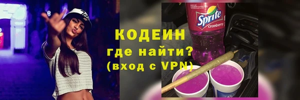 прущий лед Богданович