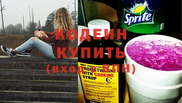 прущий лед Богданович