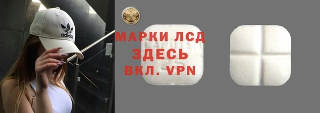 прущий лед Богданович