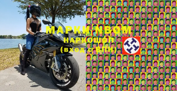 прущий лед Богданович