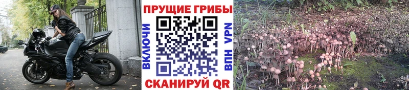 Галлюциногенные грибы ЛСД  Купить закладки  Калач-на-Дону 